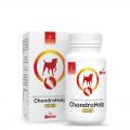 ChondroHelp tabletki na stawy