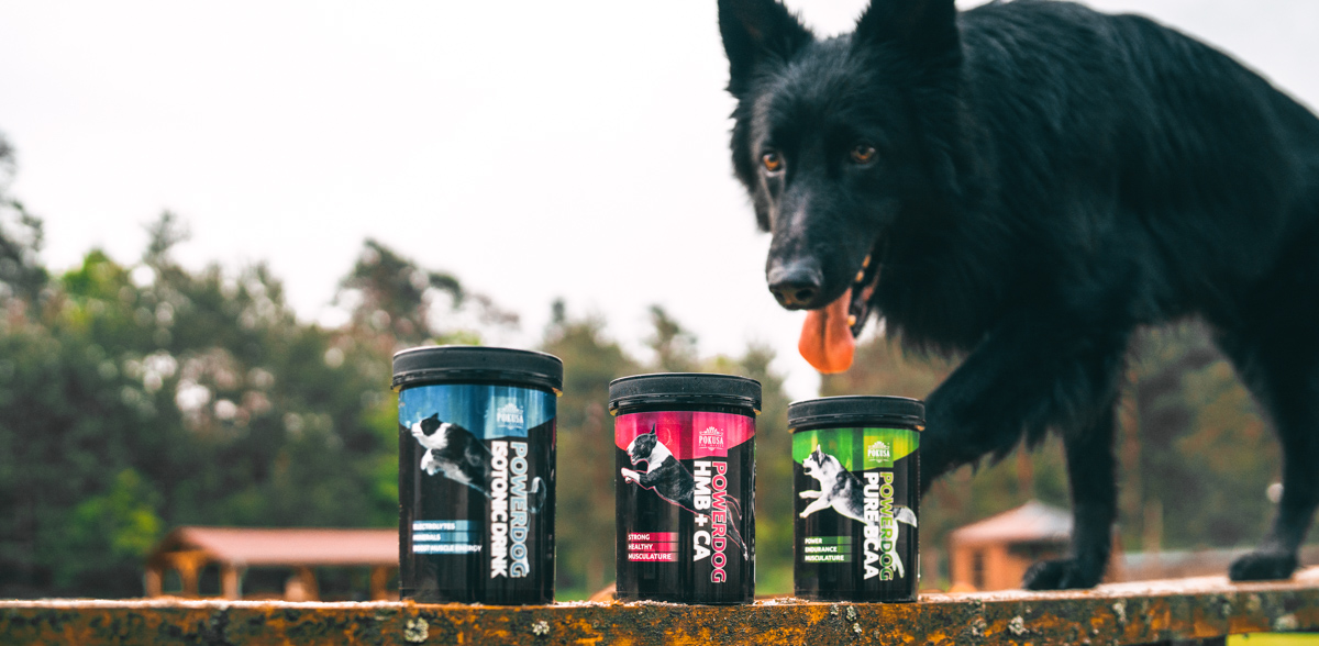PowerDog - naturalne suplementy dla psów sportowych
